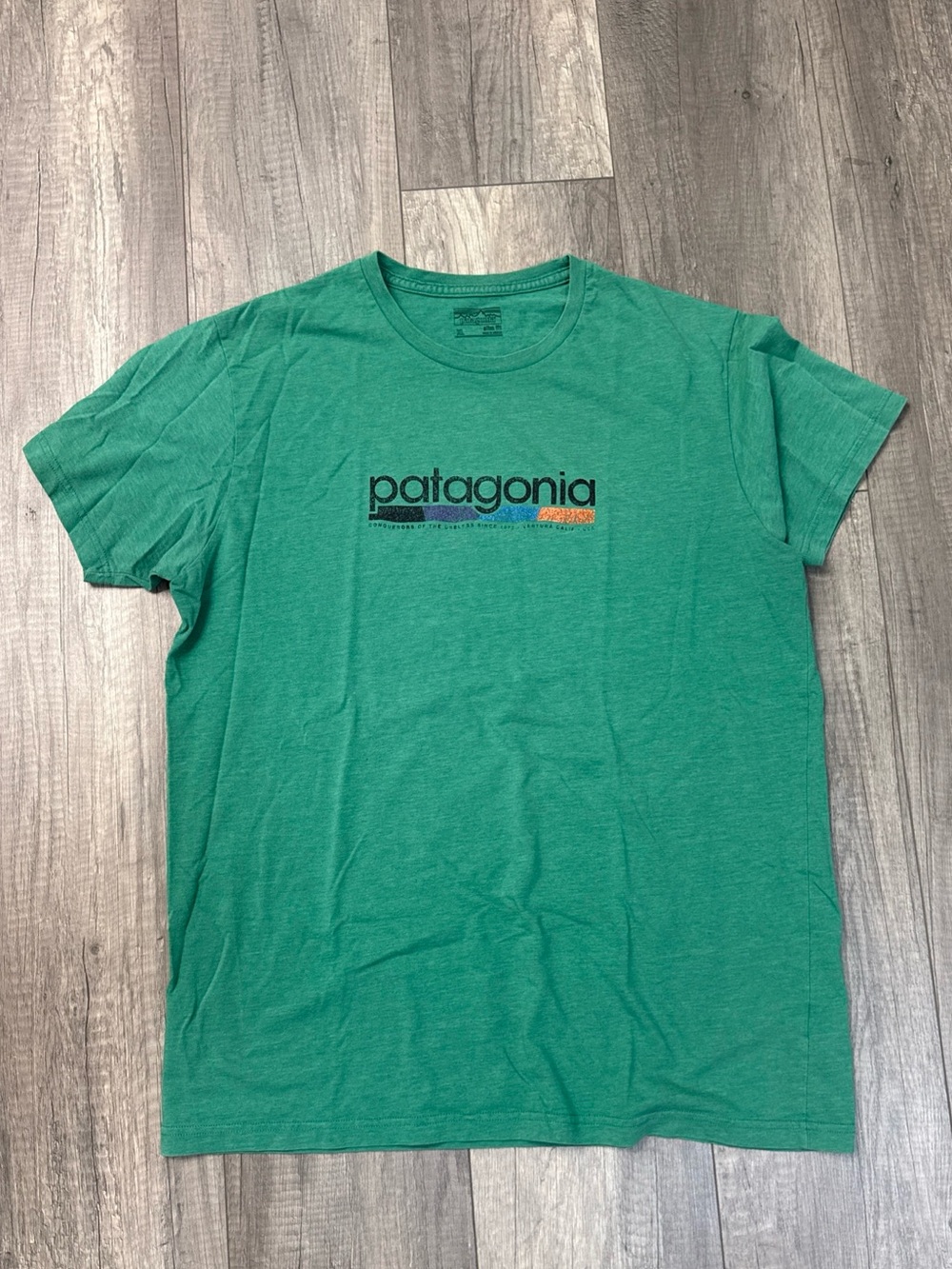 Patagonia Green Logo Short Sleeve Crew Tee